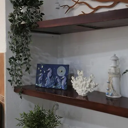 Appartement In A Stone Building By The Adriatic Sea *